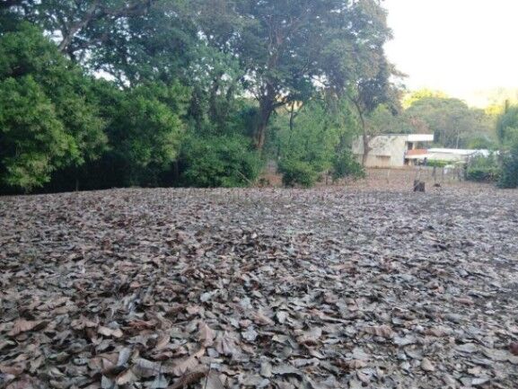 Lote de 1.827 m² en Curime de Nicoya | Naturaleza, agua y uso residencial #26-1619 in Nicoya, Guanacaste — $129,000
