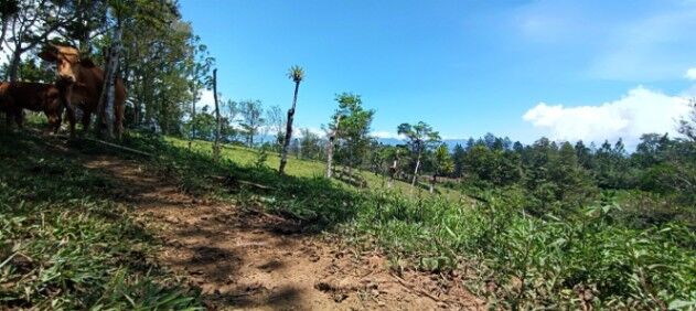 SE VENDEN 2 BELLÍSIMAS PROPIEDADES PARA INVERSIÓN.  in Sabalito, Coto Brus, Puntarenas — ₡ 55 000 000
