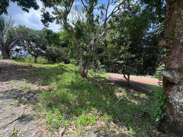 Venta de Lote en QUEPOS, Puntarenas. RAH 27-423 in Quepos, Puntarenas — ₡ 24 500 000 - Photo 3 of 6
