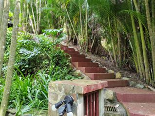 Hermosa quinta estilo campestre en Atenas in Jesús, Atenas, Alajuela — $1,000,000 - Photo 5 of 55