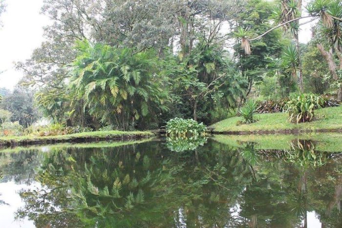 Venta finca San Rafael Heredia,con rio, 36.000 m2,4 fincas,4 medidores en Ángeles, San Rafael, Heredia — $1,275,000 - Foto 3 de 33