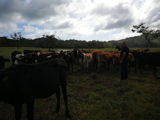 Finca lechera de alto rendimiento Pacifico Norte en Liberia, Guanacaste — $5,500,000 - Foto 2 de 10