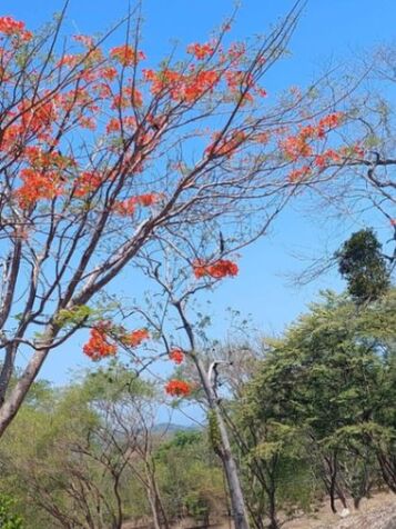 Venta de Lote en Orotina de Alajuela. RAH 26-867 en Orotina, Alajuela — $95,000
