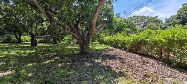 MLS-25-1948 LS VENTA LOTE LA CEIBA OROTINA in La Ceiba, Orotina, Alajuela — ₡ 45 000 000