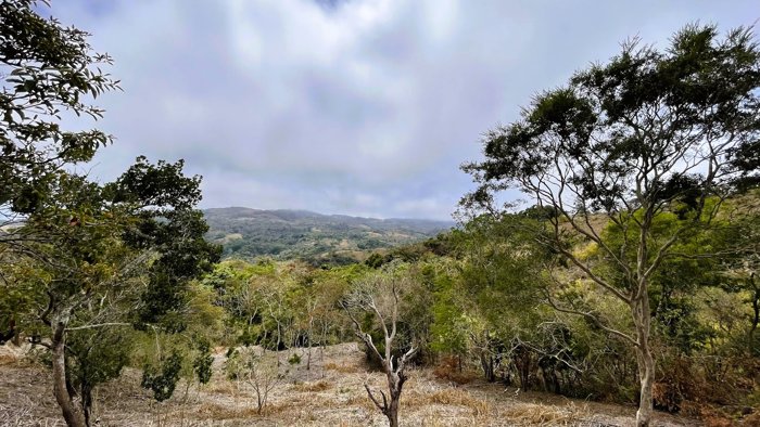 SE VENDE LOTE EN SAN PEDRO, SAN RAMON en San Isidro, San Ramón, Alajuela — $78,000
