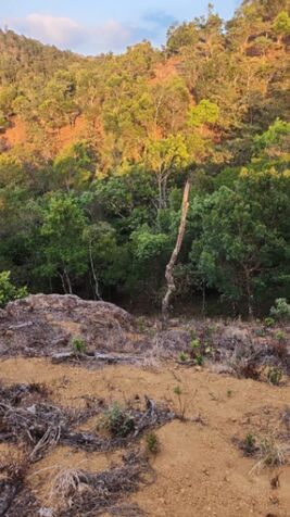 SE VENDE BELLA FINCA EN SANTIAGO, SAN RAMÓN.  in Santiago, San Ramón, Alajuela — $240,000