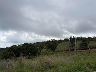 Venta de Lote en San Ramón-Zapotal, Alajuela. RAH 26-2180 en Piedades Sur, San Ramón, Alajuela — 22 000 000 ₡ - Foto 3 de 16
