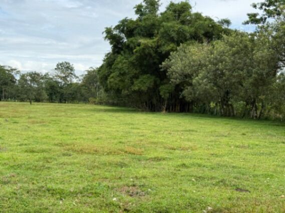Finca San Jorge La Fortuna en La Fortuna, San Carlos, Alajuela — ₡ 35 000 000