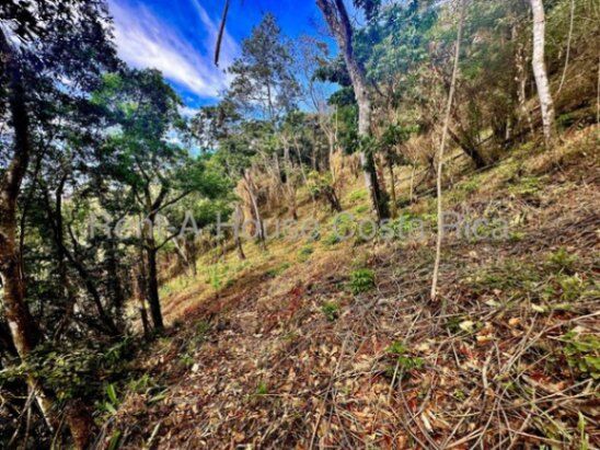 MLS-26-1467 LS VENTA LOTE SAN ISIDRO ALAJUELA en San Isidro, Alajuela — $531,000