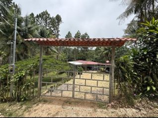 SE VENDE BELLA PROPIEDAD Y CASA EN AGUA BUENA, COTO BRUS. en Aguabuena, Coto Brus, Puntarenas — 54 900 000 ₡ - Foto 4 de 7