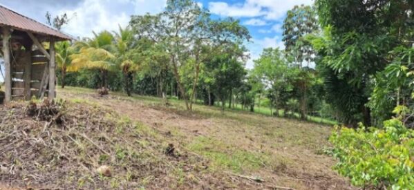 Se vende lindo lote en Villa ligia de Pérez Zeledón  en Daniel Flores, Pérez Zeledón, San José — ₡ 41 500 000
