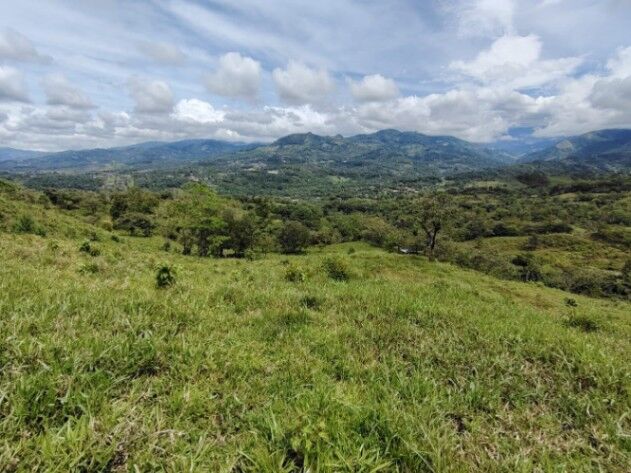 EN VENTA – PROPIEDAD EN MIRAFLORES DE GENERAL VIEJO, PÉREZ ZELEDÓN in San Isidro De El General, Pérez Zeledón, San José — $450,000
