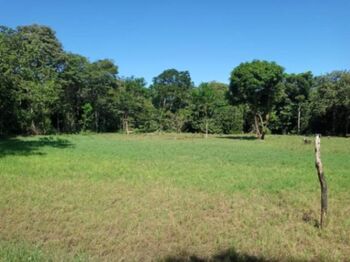 Farm For Sale Santa Elena, La Cruz, Guanacaste