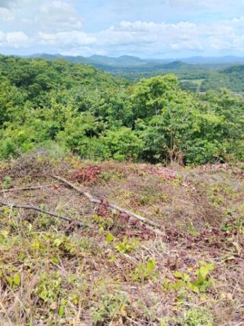 Propiedad OFERTA  en Santa Cruz, Guanacaste — ₡ 10 000 000