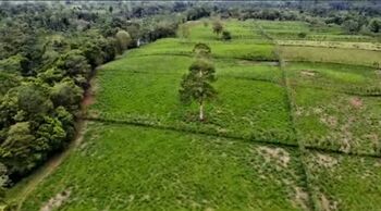 SE VENDE BELLA FINCA EN GUATUSO, SAN CARLOS.  en Aguas Zarcas, San Carlos, Alajuela — 500 000 000 ₡ - Foto 4 de 20