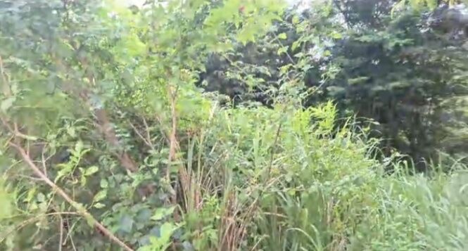 SE VENDE BELLÍSIMO LOTE EN FLAMINGO, GUANACASTE.  in Cabo Velas, Santa Cruz, Guanacaste — $100,000