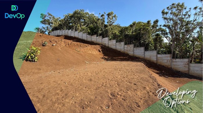Venta de lote en San Ramón de Alajuela en San Ramón, Alajuela — ₡ 16 500 000