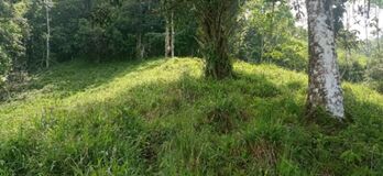 SE VENDE ESPECTACULAR FINCA EN PÉREZ ZELEDÓN.  en San Pedro, Pérez Zeledón, San José — 225 000 000 ₡ - Foto 4 de 20