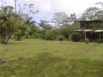 se vende linda quinta en valle azul inform.85683261 en Peñas Blancas, San Ramón, Alajuela — 85 000 000 ₡ - Foto 4 de 5