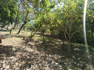 Venta de Lotes en Liberia / Guanacaste en Liberia, Guanacaste — 9 281 000 ₡ - Foto 2 de 7