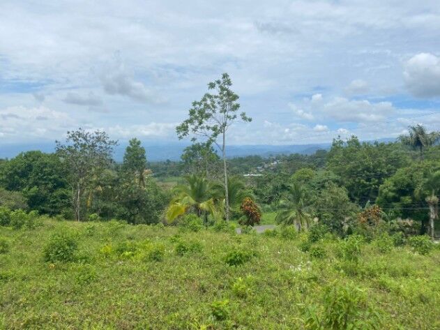 Se vende Lote 4441 m2 - San Isidro - Peñas Blancas -Financiamiento disponible in Peñas Blancas, San Ramón, Alajuela — ₡ 40 000 000