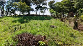 SE VENDE TERRENO LISTO PARA CONSTRUIR CON VISTAS INCREIBLES EN PEREZ ZELEDON en Volcán, Buenos Aires, Puntarenas — $10,000 - Foto 5 de 7