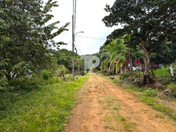 LOTE EN VENTA EN COYOLAR-OROTINA ALAJUELA A METROS DE LA 27 SCG34 in Coyolar, Orotina, Alajuela — ₡ 39 000 000