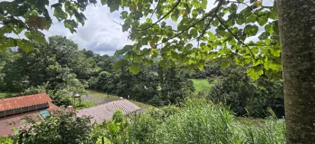 DE OPORTUNIDAD BELLA PROPIEDAD EN TILARÁN, GUANACASTE.  en Arenal, Tilarán, Guanacaste — ₡ 13 500 000 - Foto 2 de 7