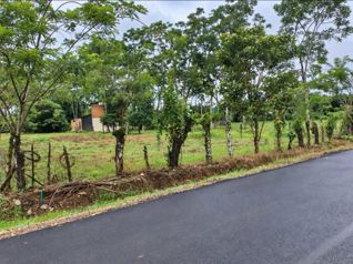 🌿 LOTE DE 2.209 m² EN VENTA | MUELLE DE LA PALMERA, SAN CARLOS - Photo 3 of 3