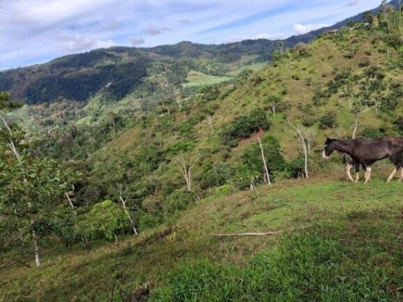 Venta de Lote en Turrialba-Cartago. RAH 26-1276 en La Suiza, Turrialba, Cartago — ₡ 27 000 000