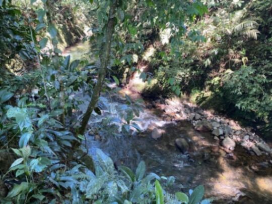 Venta de hermosa finca de 6.3 Hectáreas.  en Río Cuarto, Alajuela — $250,000