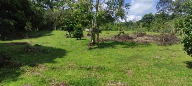 Se vende o se cambia  in La Tigra, San Carlos, Alajuela — ₡ 49 000 000