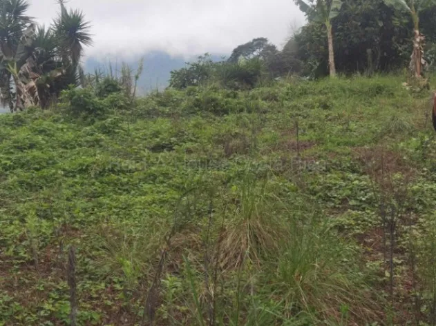 Venta de Lote en Orosi-Palomo, de Cartago. RAH 27-98 en Paraíso, Cartago — $142,862