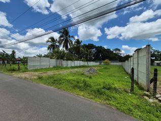 🌿 TERRENO EN VENTA EN LA COLONIA, POCOCÍ in Guápiles, Pococí, Limón — 23 000 000 ₡ - Photo 4 of 5