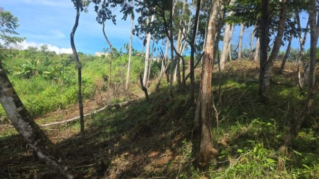 Lote en Pavones in San Isidro De El General, Pérez Zeledón, San José — ₡ 600 000 000