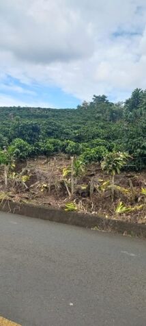 SE VENDE ESPECTACULAR FINCA EN SAN RAFAEL DE HEREDIA.  en Concepción, San Rafael, Heredia — ₡ 13 000