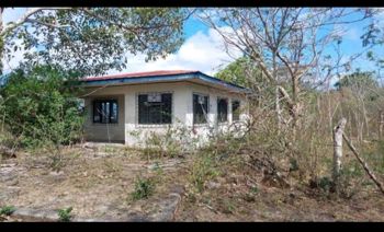 VENTA TERRENO EN LA CRUZ GUANACASTE SOBRE RUTA INTERMERICANA en La Cruz, Guanacaste — $250,000 - Foto 5 de 11