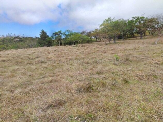 Venta de Lote en San Ramón-Piedades Sur. RAH 26-1770 en Piedades Sur, San Ramón, Alajuela — ₡ 550 000 000