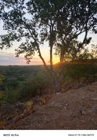 OWNER SELLS 6375M2 FARMHOUSE GUAYABO BAGACES GTE, VIEW OF THE MIRAVALLES VOLCANO, $80,000 87291299 in Mogote, Bagaces, Guanacaste — $80,000