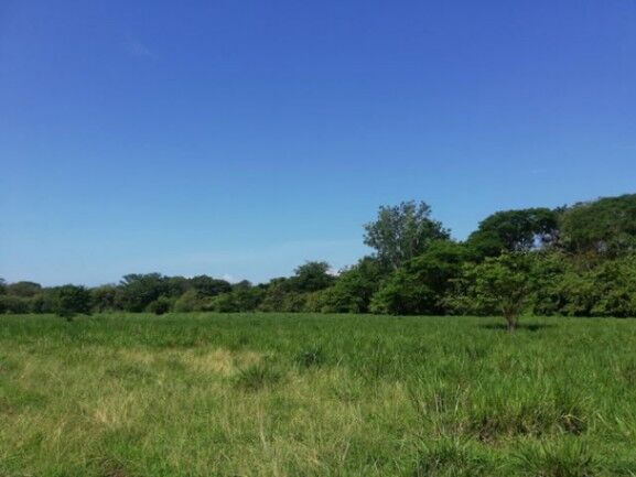 Se vende amplio terreno de 36,5 hectáreas en Nosara Guanacaste 23-2211 in Nosara, Nicoya, Guanacaste — $7,307,900