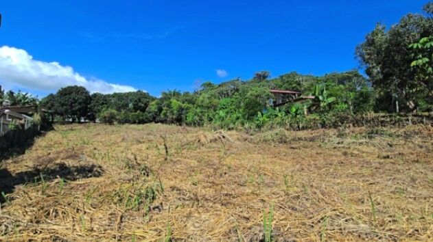 BEAUTIFUL LOT FOR SALE / LOTE EN VENTA EN EL HOYON, PZ en San Isidro De El General, Pérez Zeledón, San José — ₡ 130 000 000 - Foto 2 de 15