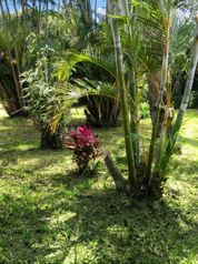 Terreno con Potencial Comercial y Residencial en San Rafael de Heredia en San Josecito, San Rafael, Heredia — 250 000 000 ₡ - Foto 5 de 12