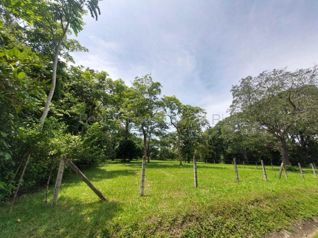 Venta de Lote Plano en Coyolar de Orotina.  RAH 27-824 en Coyolar, Orotina, Alajuela — 140 000 000 ₡ - Foto 2 de 9