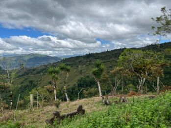 Venta de Extenso Lote de Terreno en La Suiza de Turrialba / Mls. 26-712 OFC JB en La Suiza, Turrialba, Cartago — $170,000 - Foto 5 de 18