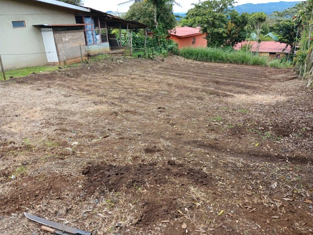 DE OPORTUNIDAD BELLA PROPIEDAD EN NARANJO, ALAJUELA. ARANJO, ALAJUELA. en Palmitos, Naranjo, Alajuela — ₡ 16 000 000 - Foto 3 de 3