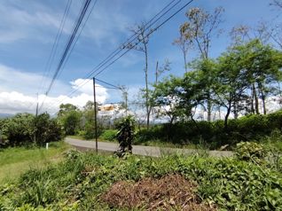Venta de terreno agrícola de 21.764 m2 en San Pedro, Pérez Zeledón in San Pedro, Pérez Zeledón, San José — 98 000 000 ₡ - Photo 4 of 27
