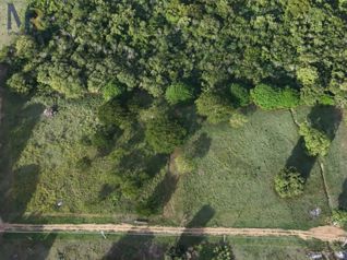EL JOBO GUANACASTE 5.000 M² CERCA DEL MAR in La Cruz, Guanacaste — $100,000 - Photo 5 of 11