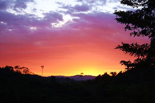 JUNGLE HOUSE en Sierpe, Osa, Puntarenas — $100,000