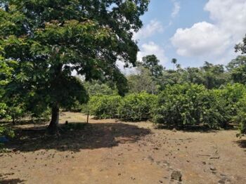 Finca en Venta Puerto Viejo, Sarapiquí, Heredia