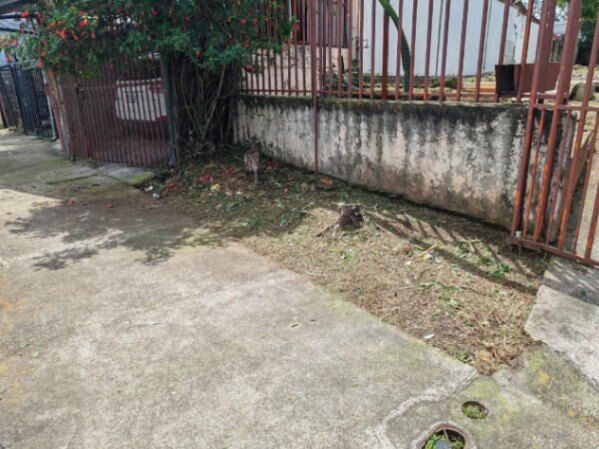 Venta de Lote Comercial en Catedral, San José. RAH 26-181 in Catedral, San José — ₡ 80 000 000